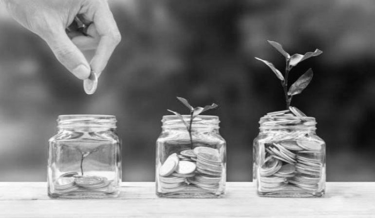 Money savings, investment, making money for future, financial wealth management concept. A man hand holding coin over stacked coins in glass jar and growing tree plant depicts Fund growth and wealth.